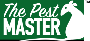 The Pest Master