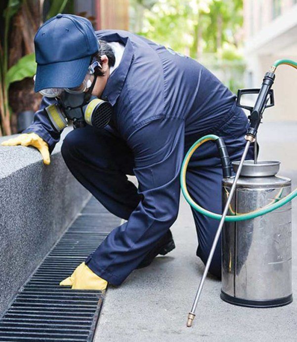 Commercial Pest Control in Birmingham